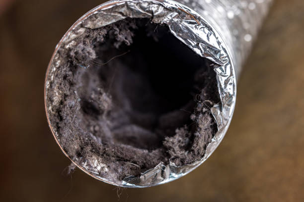 Best HVAC Air Duct Cleaning  in New Chicago, IN