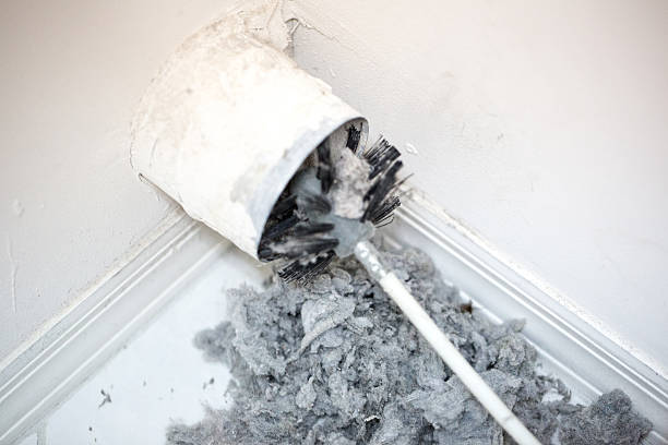 Best Residential Air Duct Cleaning  in New Chicago, IN