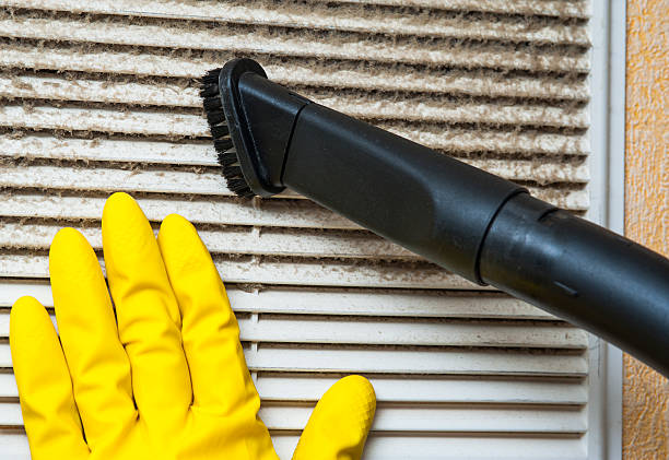 Best Ductwork Cleaning Services  in New Chicago, IN
